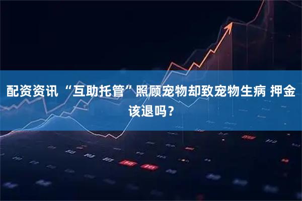 配资资讯 “互助托管”照顾宠物却致宠物生病 押金该退吗？