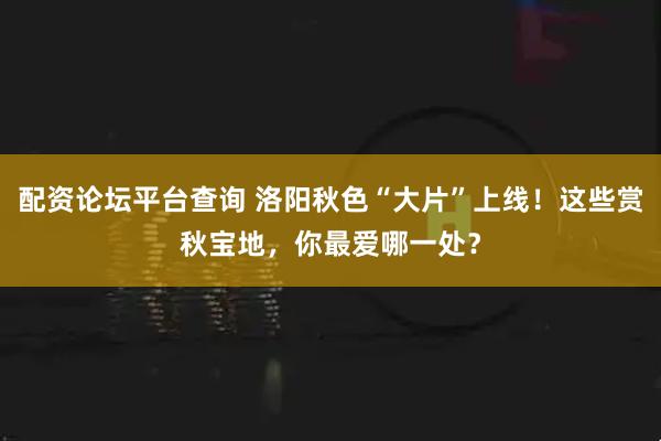 配资论坛平台查询 洛阳秋色“大片”上线！这些赏秋宝地，你最爱哪一处？