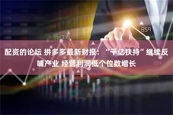 配资的论坛 拼多多最新财报：“千亿扶持”继续反哺产业 经营利润低个位数增长