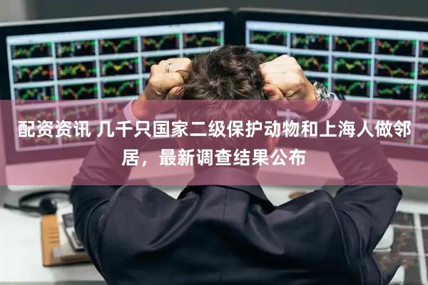 配资资讯 几千只国家二级保护动物和上海人做邻居，最新调查结果公布