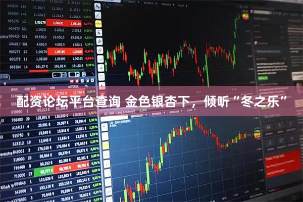 配资论坛平台查询 金色银杏下，倾听“冬之乐”