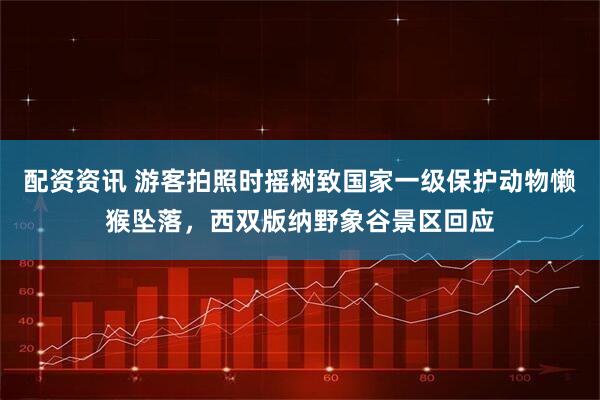 配资资讯 游客拍照时摇树致国家一级保护动物懒猴坠落，西双版纳野象谷景区回应