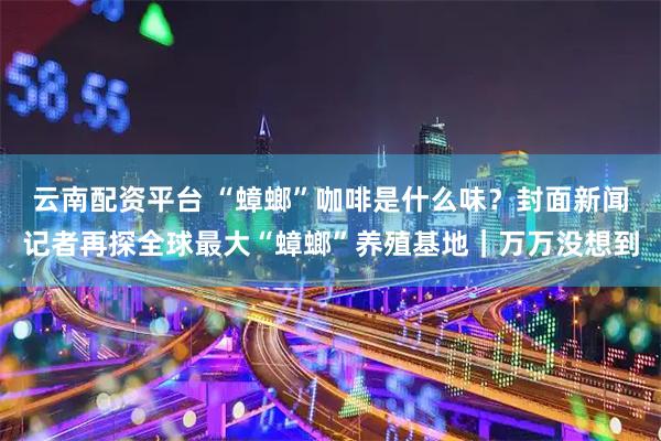 云南配资平台 “蟑螂”咖啡是什么味？封面新闻记者再探全球最大“蟑螂”养殖基地｜万万没想到