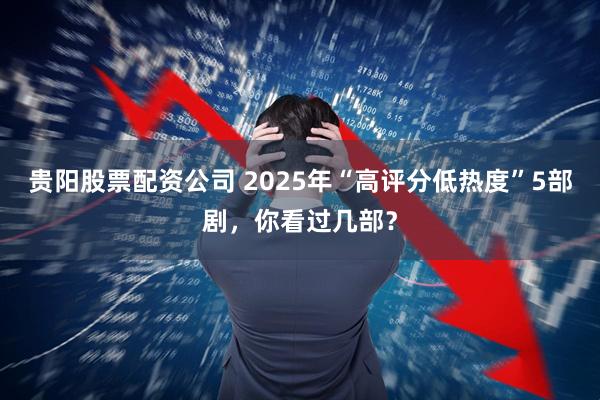 贵阳股票配资公司 2025年“高评分低热度”5部剧，你看过几部？