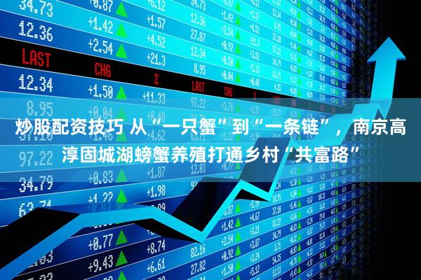 炒股配资技巧 从“一只蟹”到“一条链”，南京高淳固城湖螃蟹养殖打通乡村“共富路”